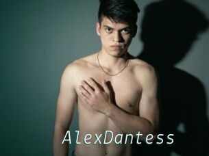AlexDantess