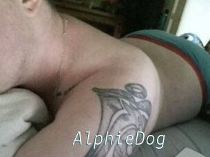 Alphie_Dog