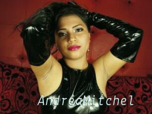 AndreaMitchel