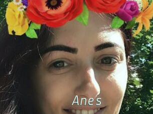 Anes