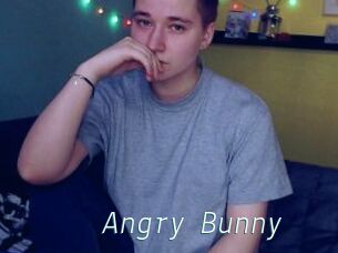 Angry_Bunny