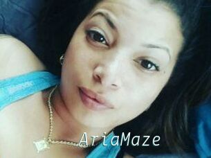 Aria_Maze