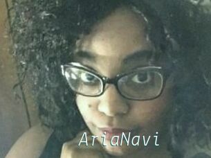AriaNavi