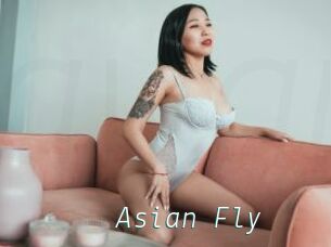 Asian_Fly