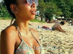 Asian_Fox