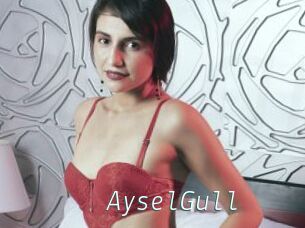 AyselGull
