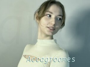 Accagroomes