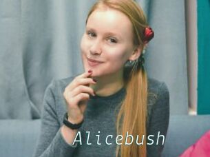 Alicebush