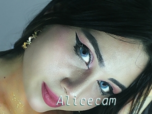 Alicecam