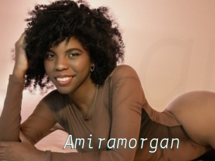 Amiramorgan