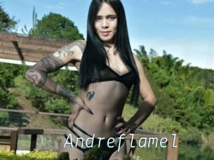Andreflamel