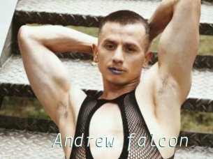Andrew_falcon