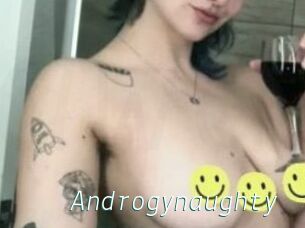 Androgynaughty