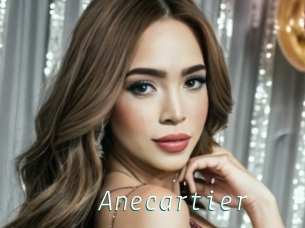 Anecartier