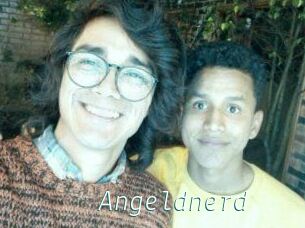 Angeldnerd