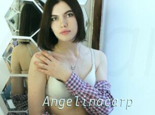 Angelinacarp