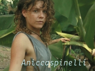 Aniccaspinelli