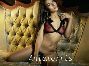 Aniemorris