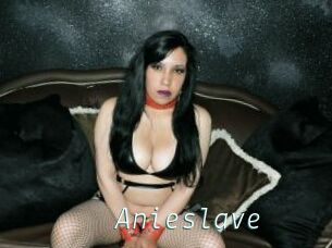 Anieslave
