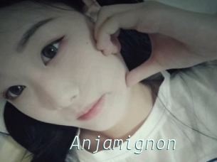 Anjamignon