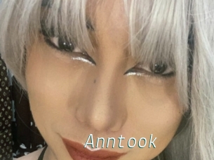 Anntook