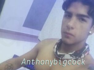 Anthonybigcock