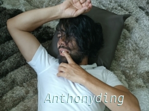 Anthonyding