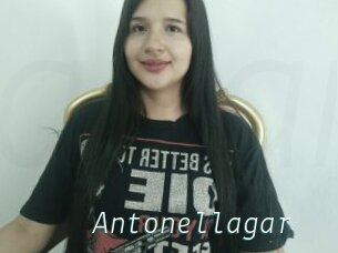 Antonellagar