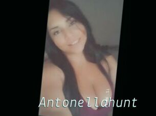 Antonellahunt