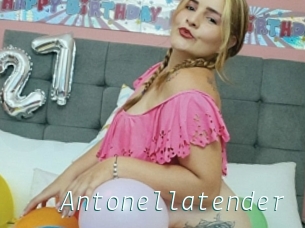 Antonellatender