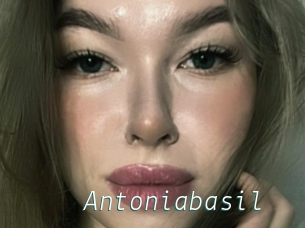 Antoniabasil