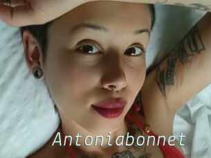 Antoniabonnet
