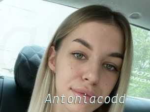 Antoniacodd