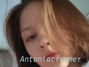 Antoniacrammer