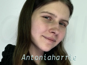 Antoniaharrie