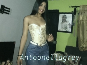 Antoonellagrey