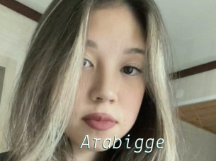 Arabigge