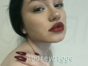 Audreybigge