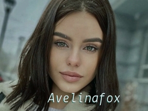 Avelinafox