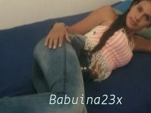 Babuina23x