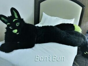 BaniBun