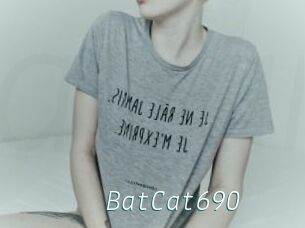 BatCat690