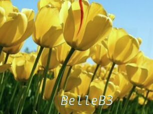 BelleB3