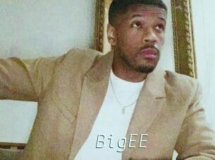 BigEE
