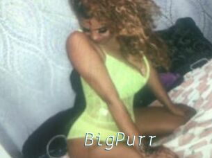 BigPurr