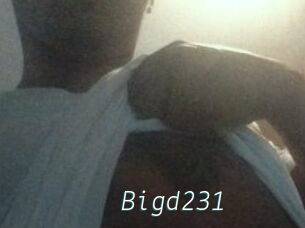 Bigd231