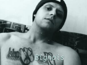 Bignois