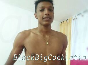 BlackBigCockLatin