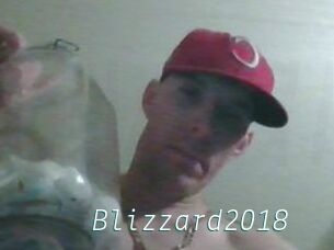 Blizzard2018