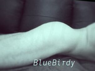 BlueBirdy
